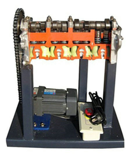 配气机构解剖模型