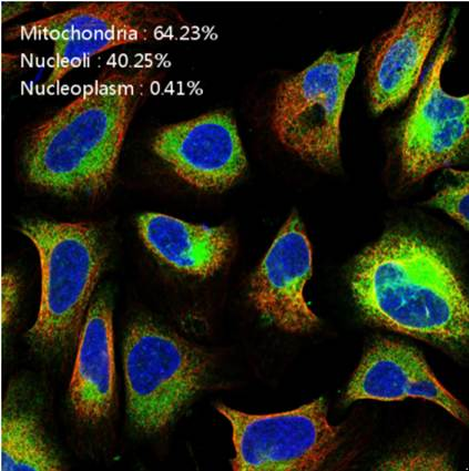 人工智能实验箱(图12) 人工智能实验箱(图12)