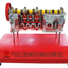 气缸盖解剖解剖模型